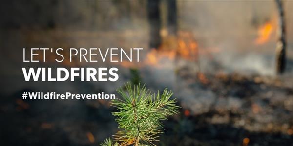 RISK OF WILDFIRES
