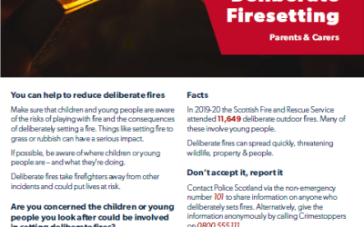 Deliberate Fire Setting – Grass Fires