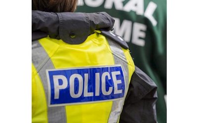 Motorbike Theft near Alford