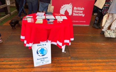 🐴✨ A Fantastic Day at Scone Palace Thanks to Our Friends at BHS Scotland! ✨🤝