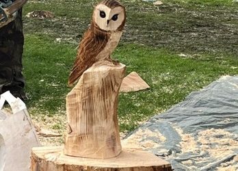 GARNOCK VALLEY CARVES – WHAT A FANTASTIC COMMUNITY EVENT!