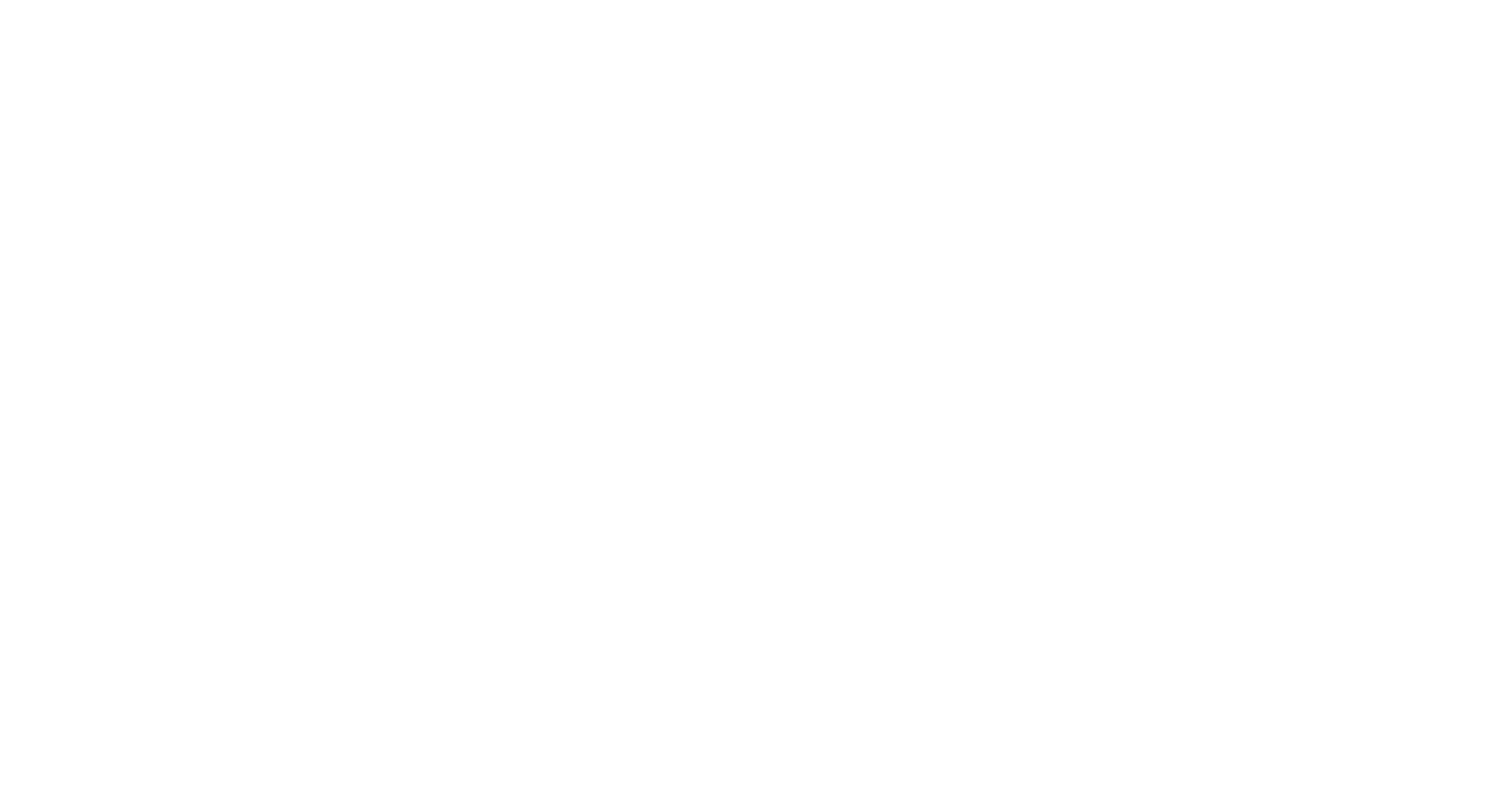 PS_logo_2017_landscape_NoStrap_White_Rev (1)
